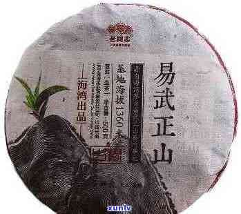 探秘普洱茶之源：易武正山的历史、特点与品鉴指南