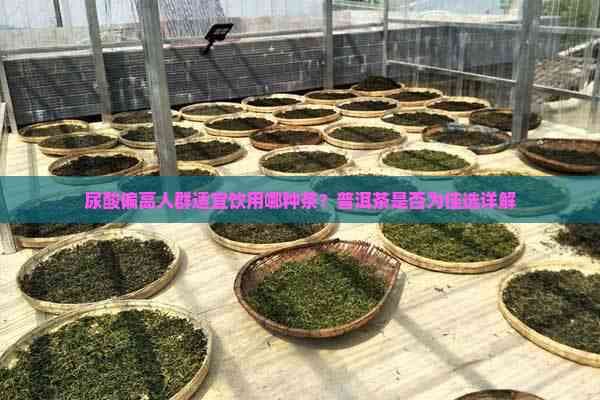 尿酸偏高人群适宜饮用哪种茶？普洱茶是不是为佳选详解
