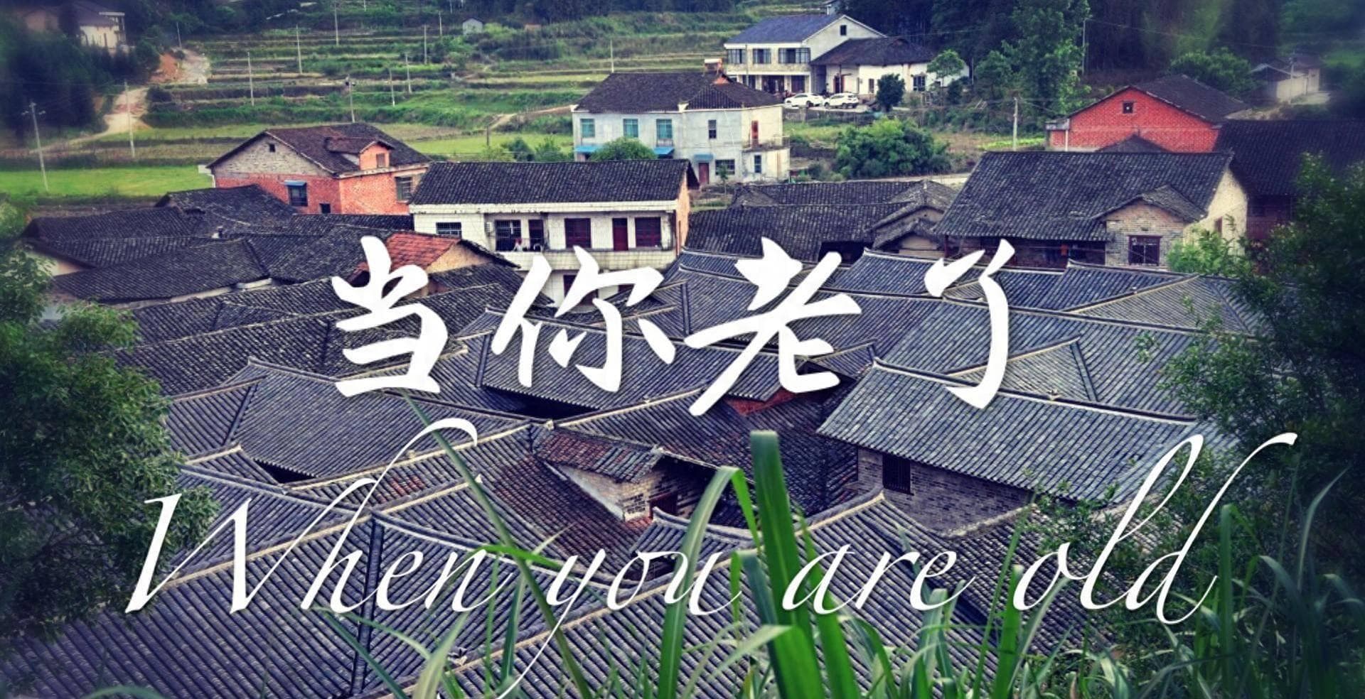 一首让人感受到岁月沉淀的歌曲：《当你老了》音乐点评