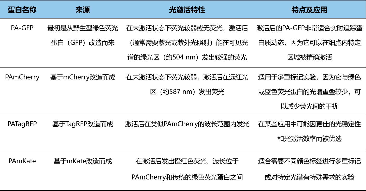 新型荧光蛋白：光激活、光转化与光控开关的奇妙世界