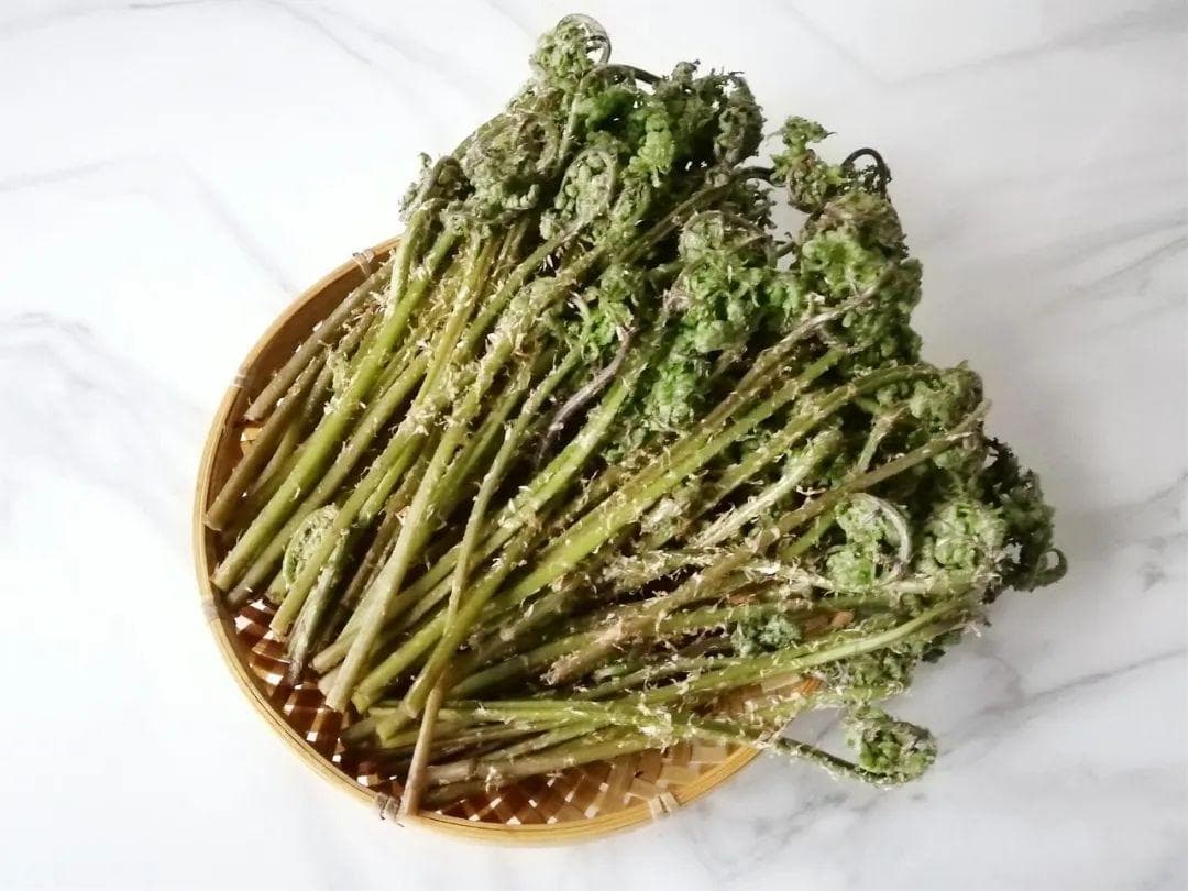 又是一年山菜季，寻味白山山野菜～猴腿