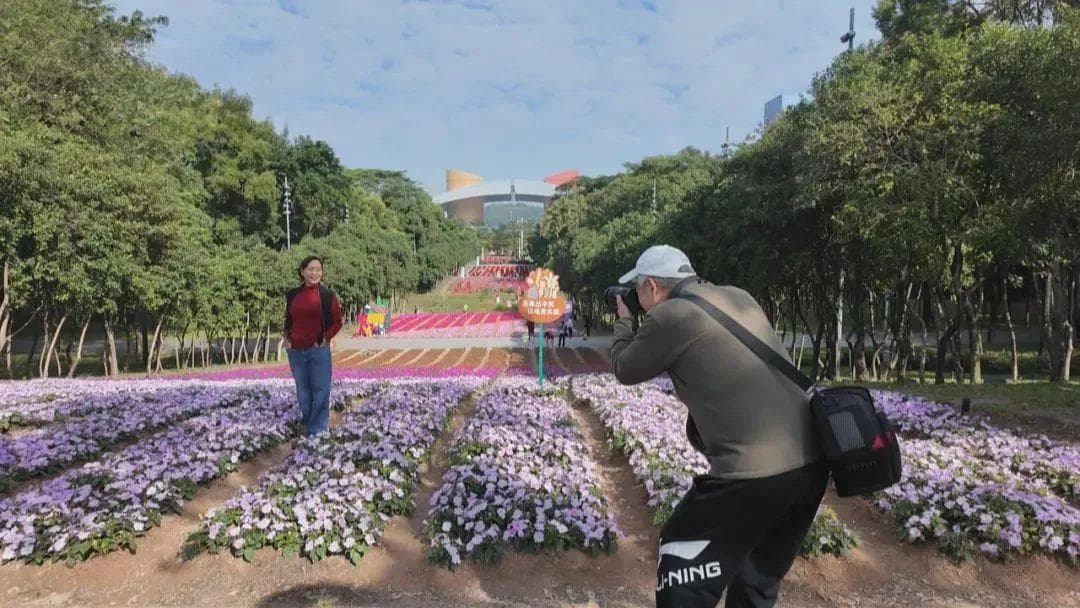 格桑花田、月季花海、落羽杉林……深圳的绝美赏花点又上新啦！