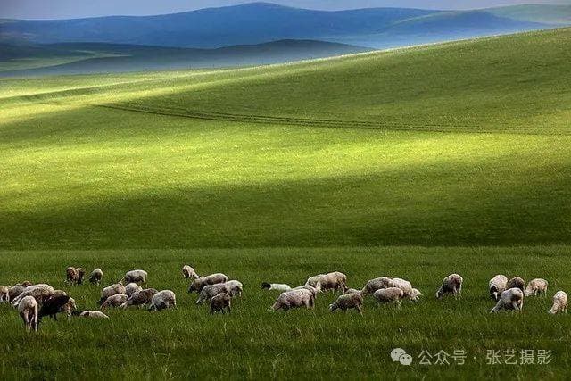 天堂至美，蒙地至深——探秘呼伦贝尔