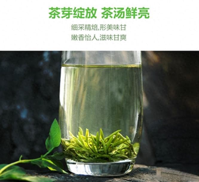 茶中珍品——碧螺春（颜色碧绿，卷曲如螺，春季采制）