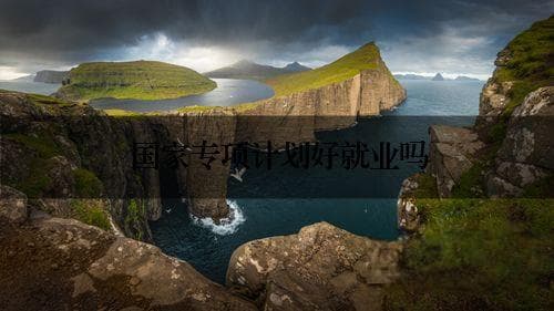 国家专项计划好就业吗