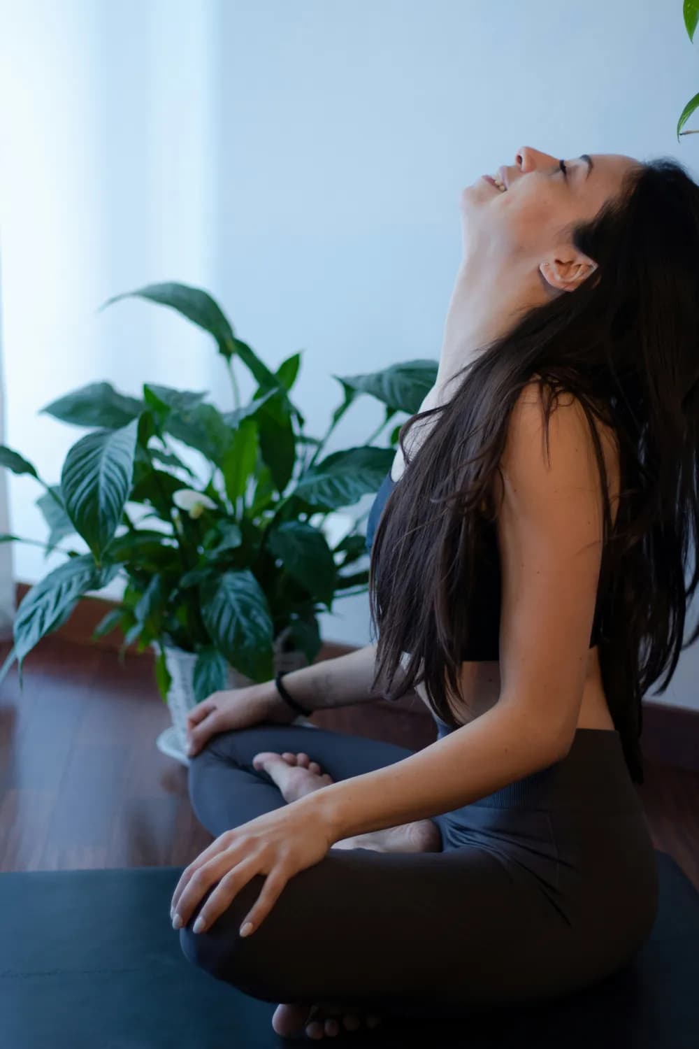 最新研究：触觉疗法能有效缓解压力，七步养生操助力健康生活