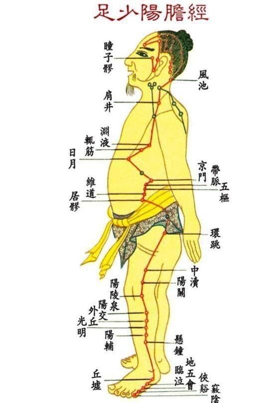 不知道怎么补气血又减肥？老中医教你妙招，敲一敲“胆经”
