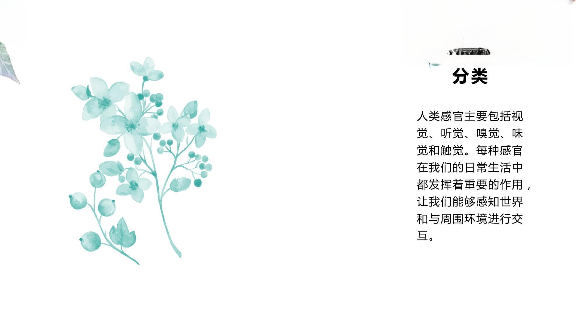 人体的感觉与神经系统