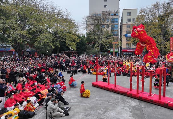 藤县狮舞绽放璀璨魅力 传承千年文化谱写辉煌篇章