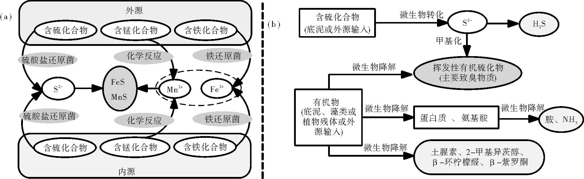 我国黑臭水体的形成机制与治理策略研究