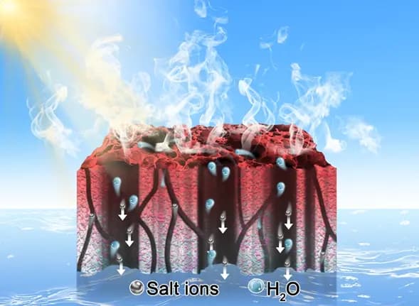 东北地理所与清华大学联合研发新型水凝胶，实现高效太阳能海水淡化