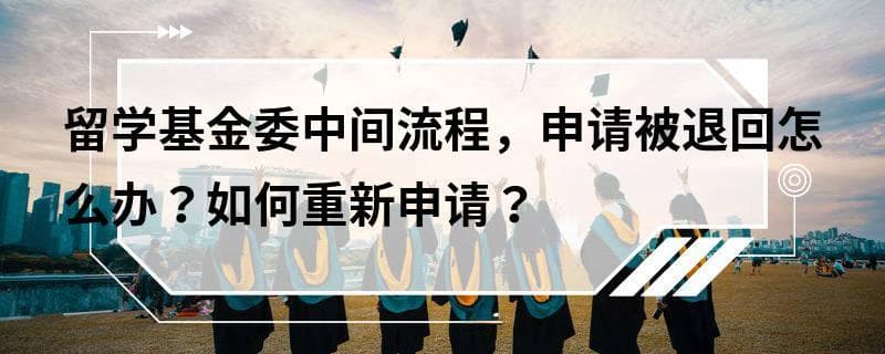 留学基金委中间流程，申请被退回怎么办？如何重新申请？