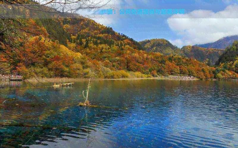 昆明到哀牢山旅游攻略：公共交通路线与距离详解