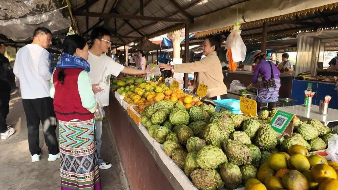 【我在西双版纳过大年】文旅融合闹新春 特色村寨迎客来