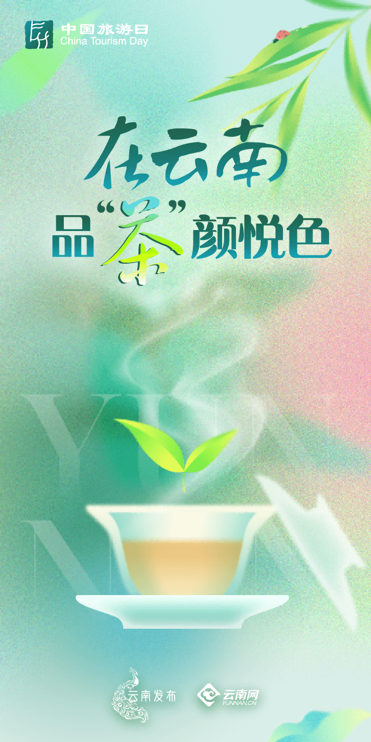 来云南，带你品不一样的茶“颜”悦色