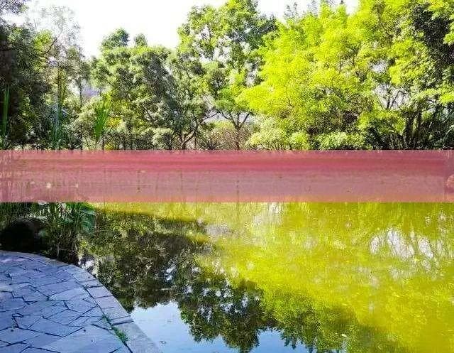三沙永兴岛旅游攻略：最新政策、签证手续、行程规划及必体验活动全解析