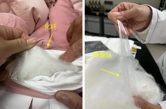选购蚕丝被全攻略：从种类到检测口，专家详解关键要点