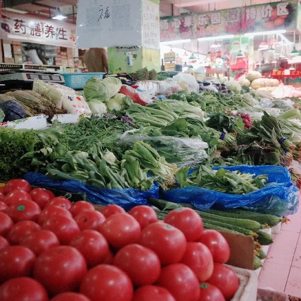 春季菜苔怎么做好吃
