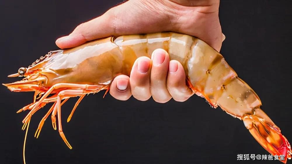 12种海虾“简单易记”的区分方法，你都吃过几种？附吃法，请收藏