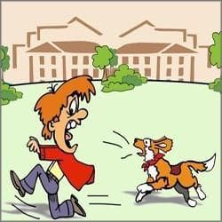 萌宠乐园小鹿犬的养护指南