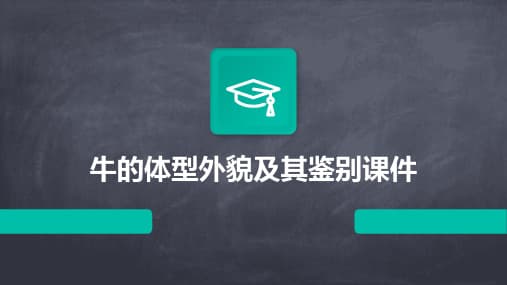 牛的体型外貌及其鉴别：从头到尾的专业解读