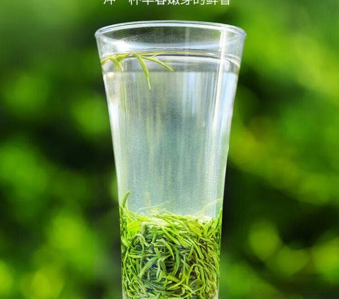 毛尖茶怎么区分好坏？好方法，让你轻松挑出好茶