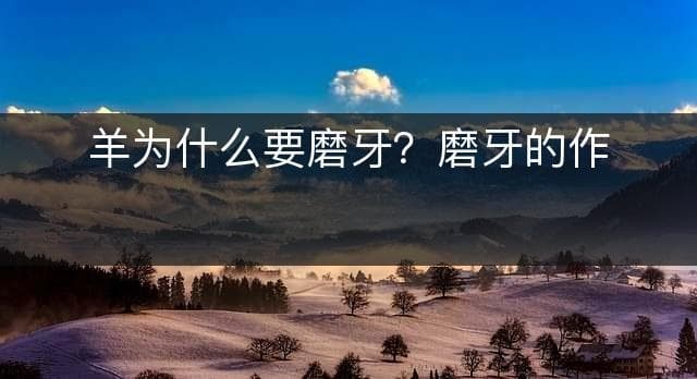 羊为什么要磨牙？磨牙的作用是什么？