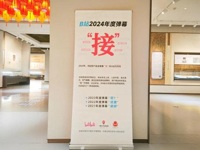 B站2024年度弹幕，还是只有一个字