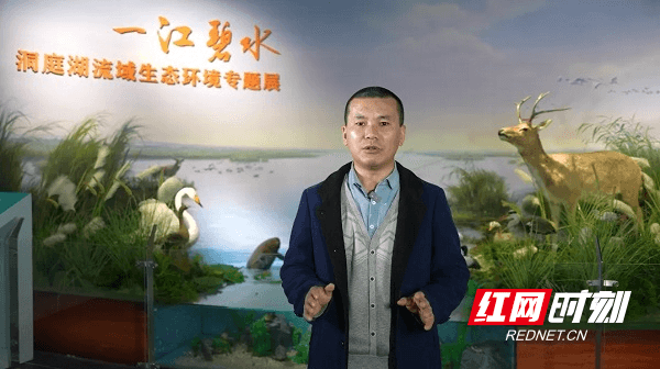 “大美洞庭，生生不息”之洞庭湖的生物多样性（上）