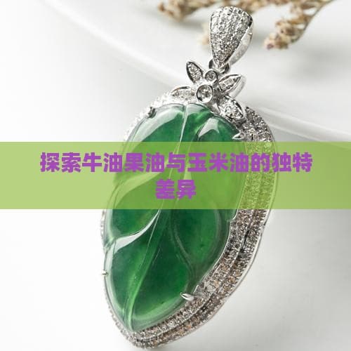 探索牛油果油与玉米油的独特差异