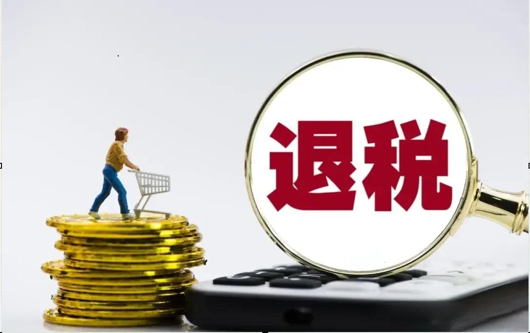 个税退税申报攻略：自行办理VS代为办理，如何选择最适合您的申报方式？
