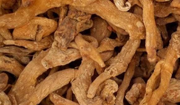 黄精是个宝，常喝黄精水，7个问题或能“迎刃而解”，你知道吗？