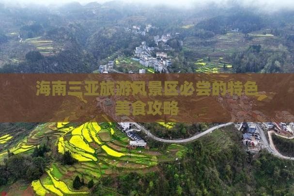 海南三亚旅游风景区必尝的特色美食攻略