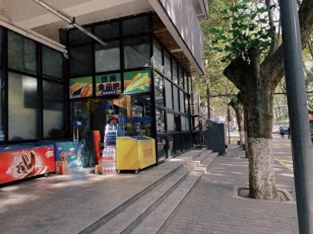 五行能量补给站：解锁你的活力密码