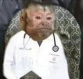 分不清抗生素和激素？教你一招分辨