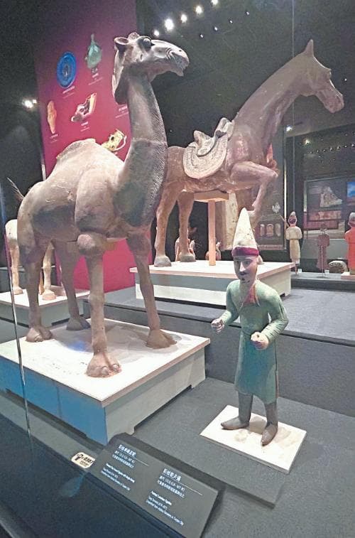 乌鲁木齐十大博物馆：从历史文化到创意体验，每一家都藏着独特的城市印记