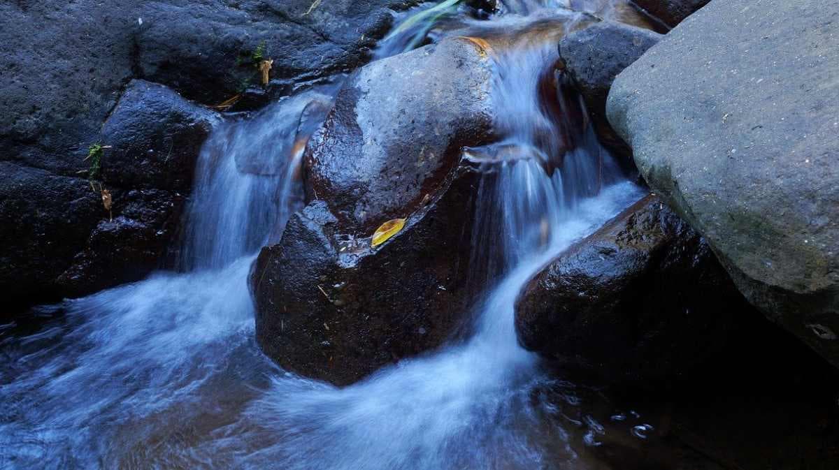 水分子：结构、性质及其生物学重要性