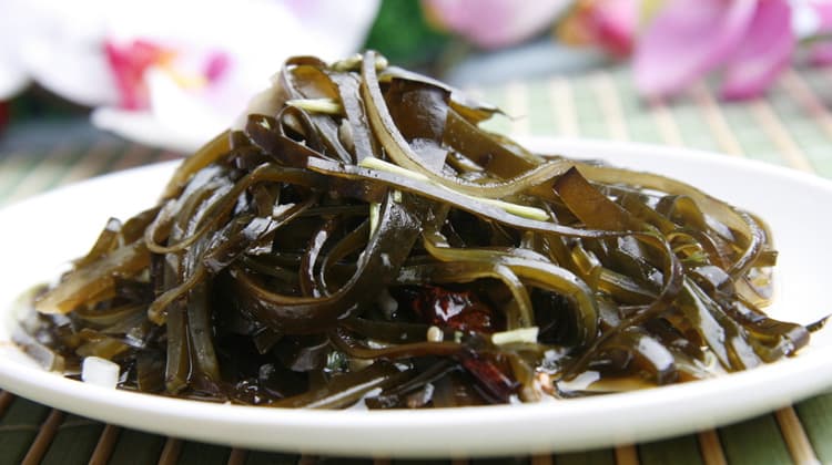 海带的功效与作用、禁忌和食用方法