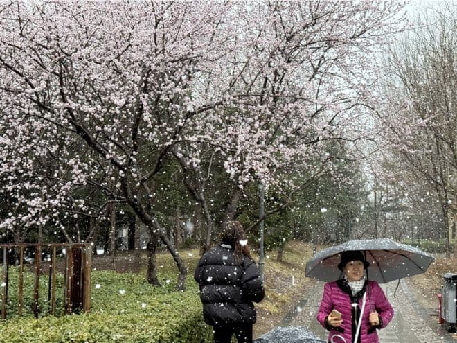 北京3月下雪罕见吗？多区预警道路结冰→
