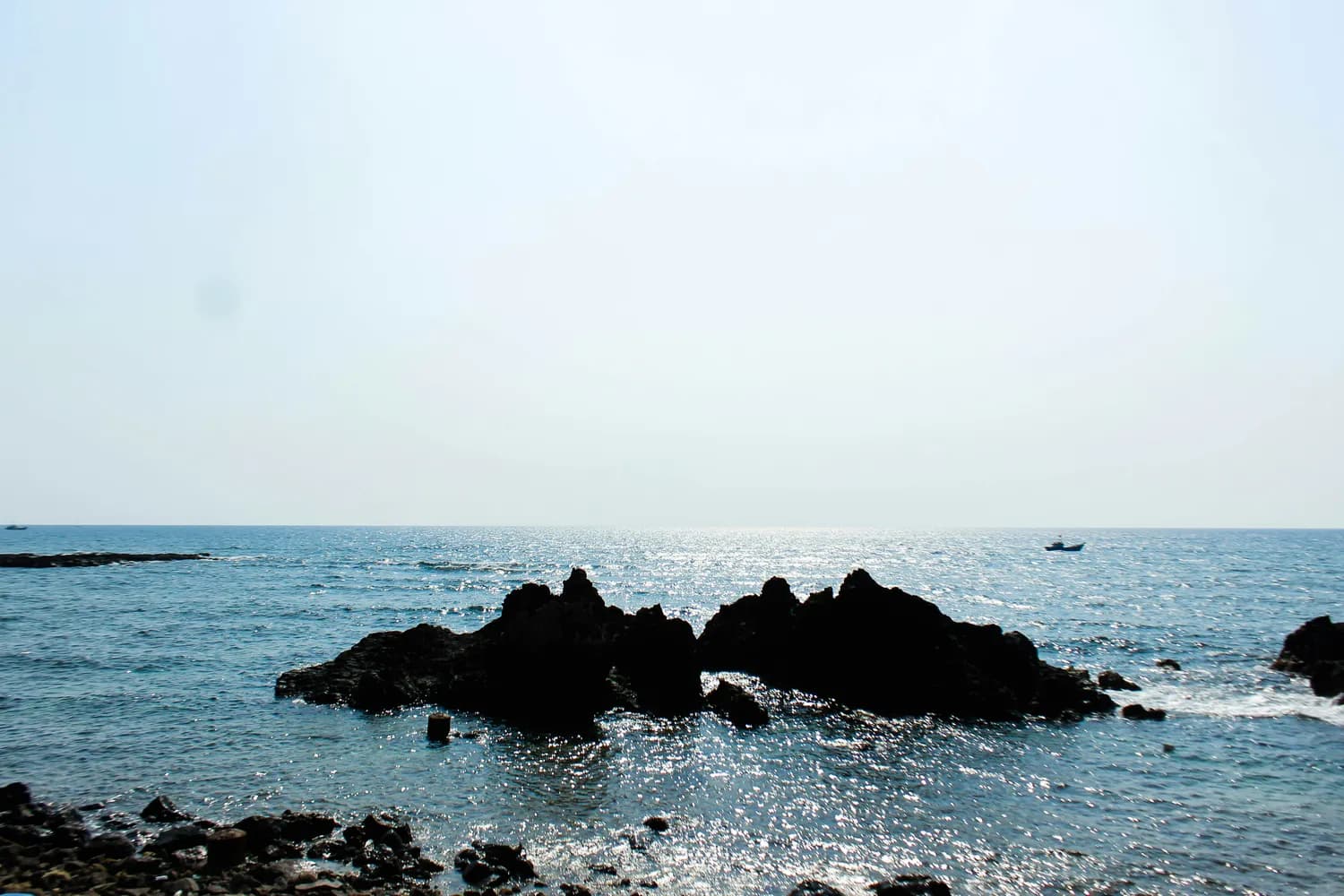 海南乐东旅游攻略：尖峰岭必打卡！
