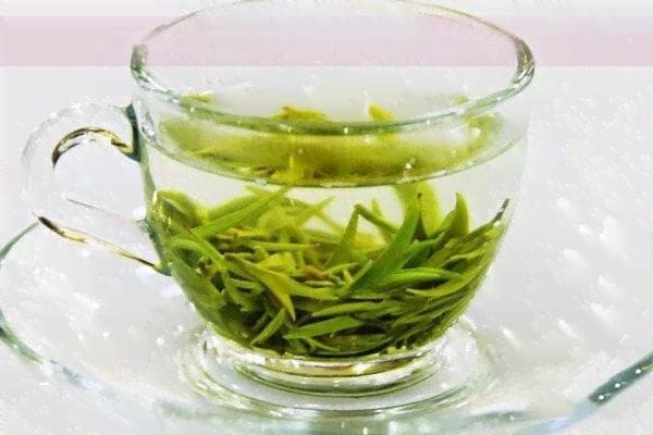 中茶普洱茶真伪查询：官方系统、网站及年份辨别方法