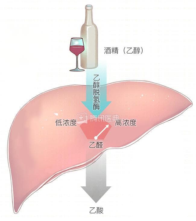尝试各种解酒方法都没用？破案了，只有这1种最有效
