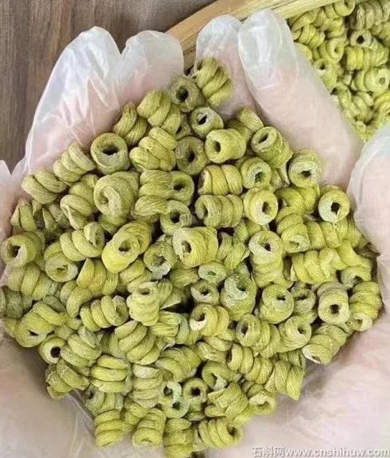 铁皮石斛对心脑血管的作用与功效
