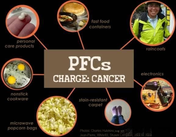 全氟化合物(PFCs) | 持久性有机污染物的"顽疾"