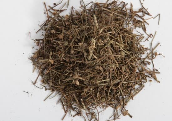 蛇舌草：从民间传说走向现代医学的神奇草药