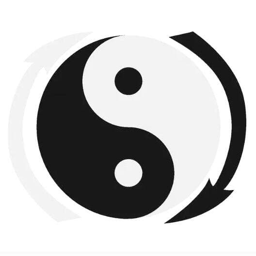 量子计算机的运算原理与阴阳哲学的关系