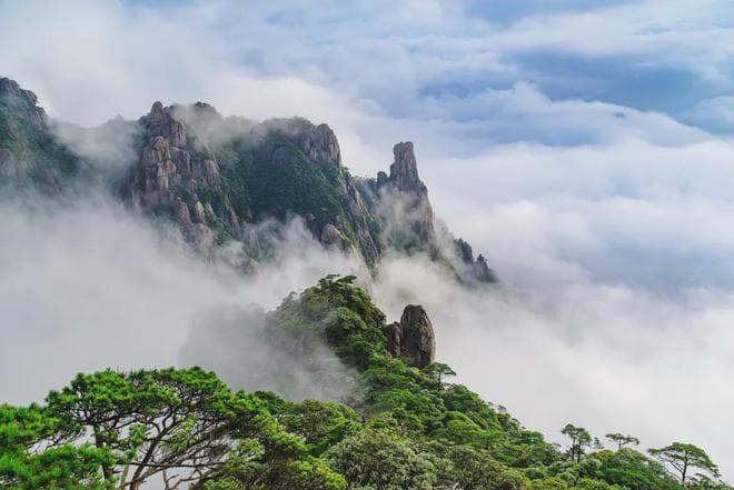千年云雾淬仙芽：庐山云雾茶