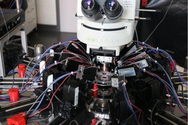 科学家揭示大脑神经元相互连接机制，证明人类神经元连接方式支持高阶计算