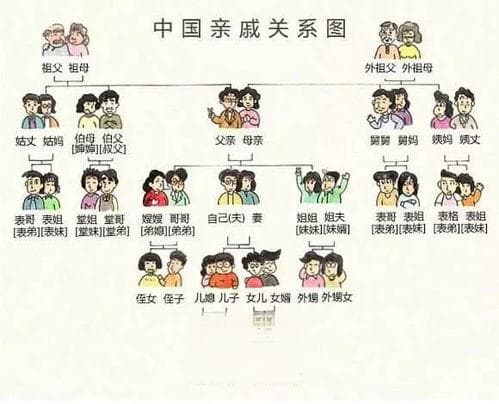 详解侄子与外甥的区别：家族关系中的微妙差异