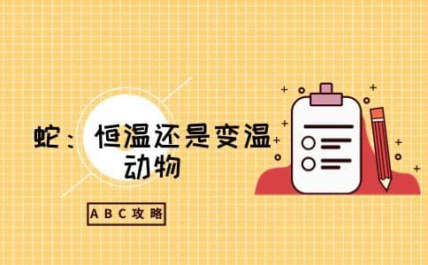 蛇是恒温动物还是变温动物 有哪些生理缺陷